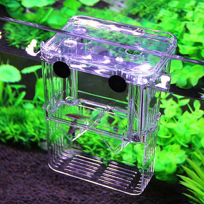Boîte d'isolation multifonctionnelle pour l'élevage de poissons d'aquarium, incubateur d'aquarium à haute transparence, Double Guppies, incubateur d'éclosion - Animaleriex