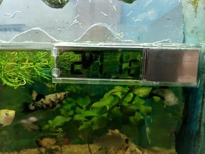 Thermomètre électronique LCD numérique pour Aquarium, mesure de la température du réservoir de poisson, accessoires d'aquarium - Animaleriex