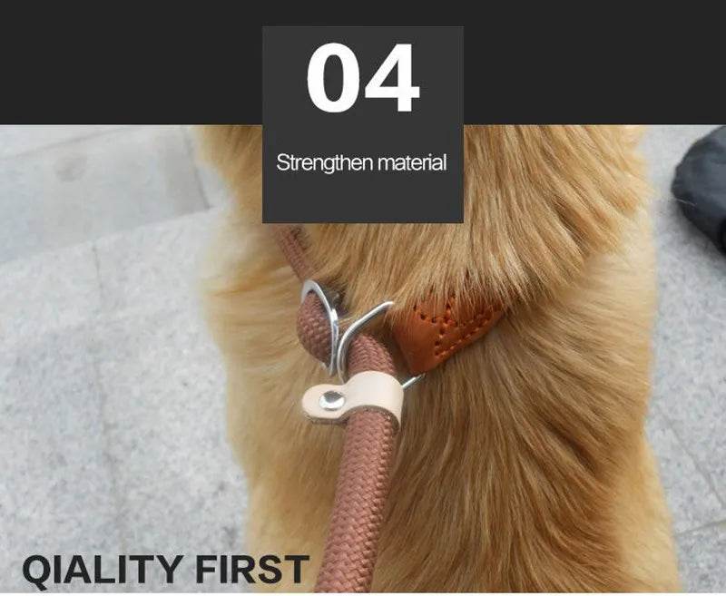 Laisse pour chien, corde coulissante, laisse en plomb, corde tressée robuste, collier à boucle réglable, laisse d'entraînement pour chiens de taille moyenne et grande - Animaleriex