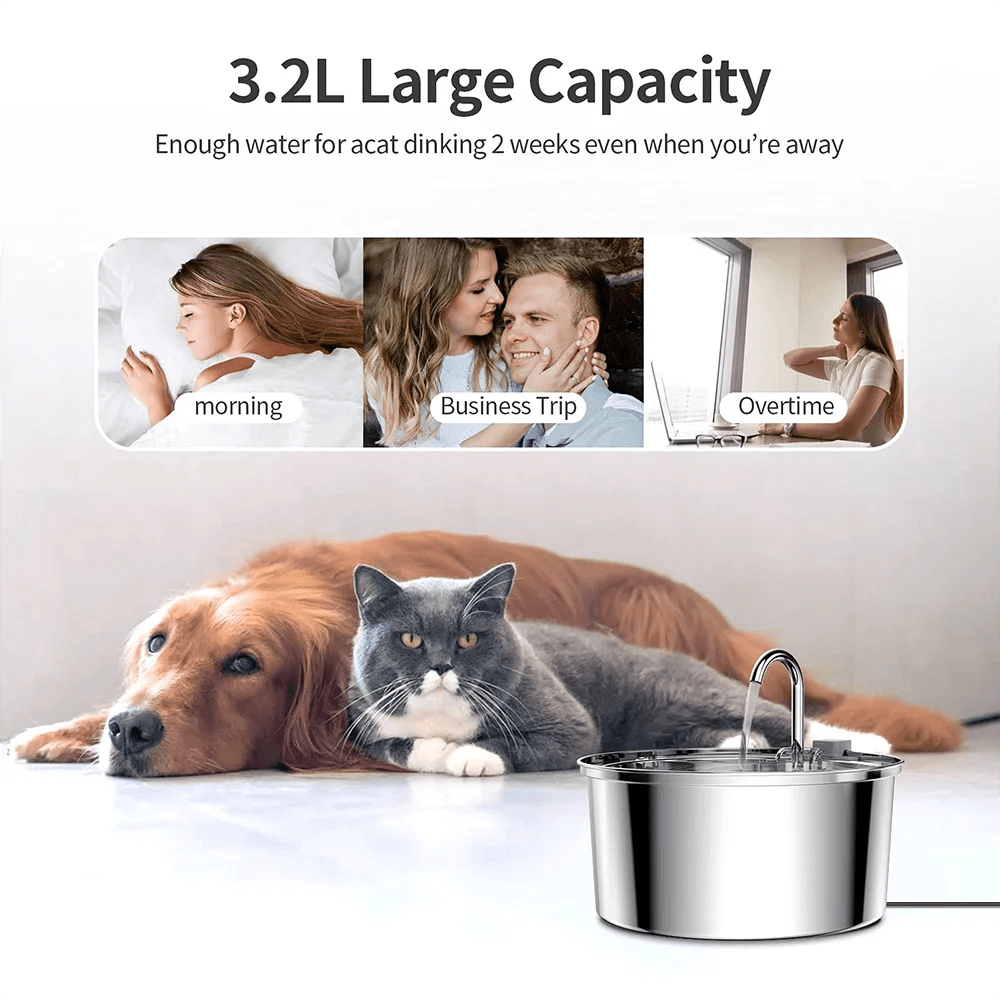 Distributeur d'eau pour animaux de compagnie en acier inoxydable, fontaine d'eau automatique pour chat, USB, électrique muet pour chat et chien, fontaine filtrante, bol à boire intelligent - Animaleriex