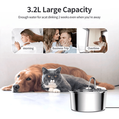 Distributeur d'eau pour animaux de compagnie en acier inoxydable, fontaine d'eau automatique pour chat, USB, électrique muet pour chat et chien, fontaine filtrante, bol à boire intelligent - Animaleriex