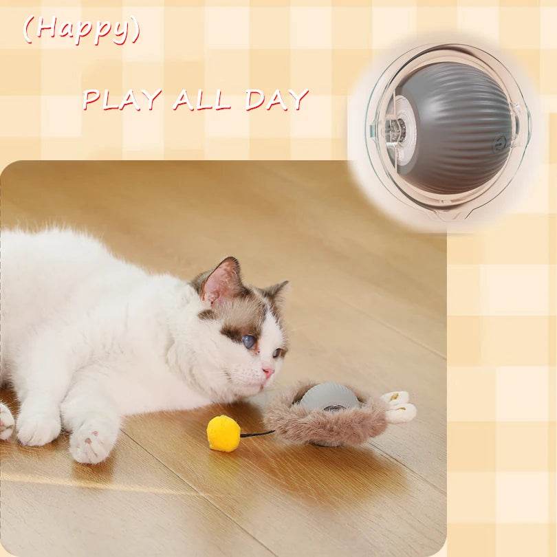 Jouets interactifs pour chat, balle à roulement rapide dans une pochette, jouet pour chaton, cache-cache, activé par le mouvement, pour l'intérieur - Animaleriex
