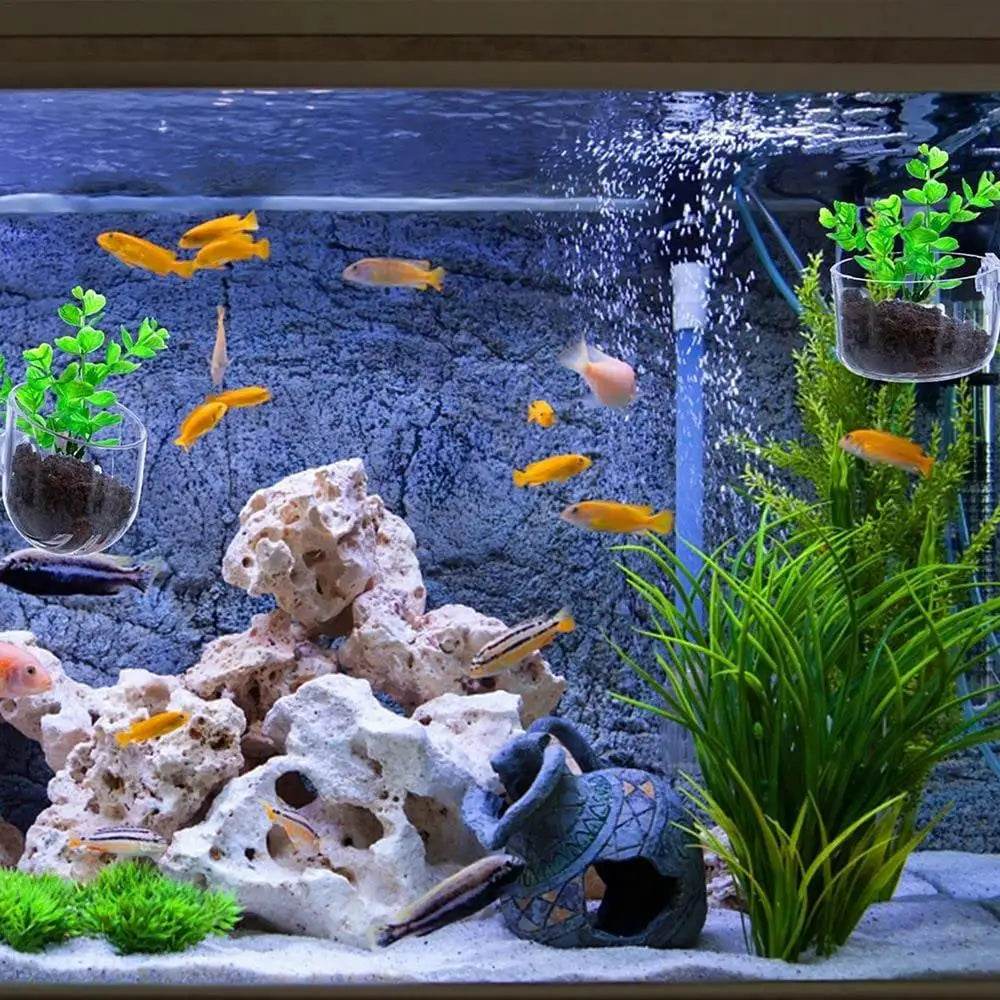 Pot de décoration d'aquarium, Pot en acrylique pour plantes aquatiques, avec support d'aspiration, cylindre de plantation, outil de décoration d'aquarium - Animaleriex