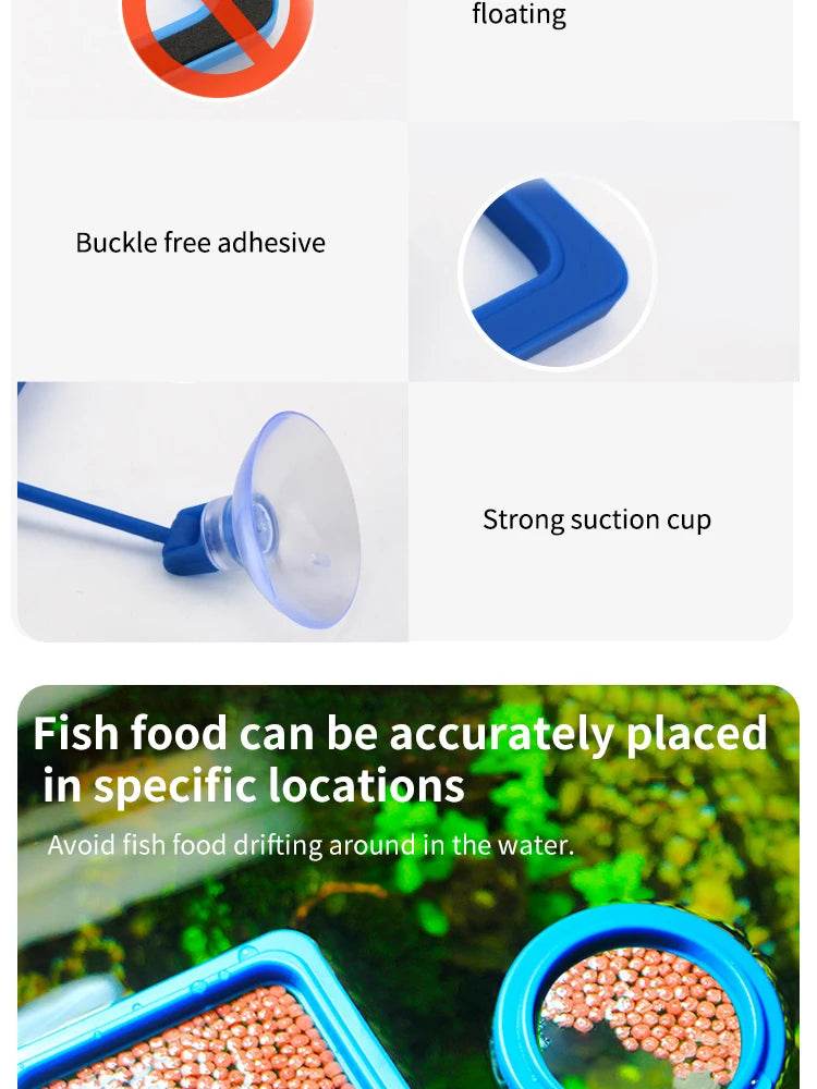 Anneau d'alimentation flottant pour poissons, Station d'aquarium à cercle carré avec ventouse, distributeur de nourriture facile, conception peu encombrante - Animaleriex