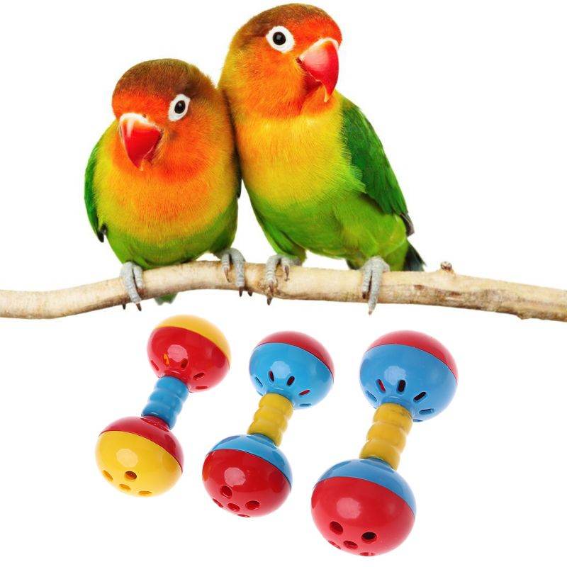 Jouet interactif en plastique coloré pour perroquet, double boule, oiseau, pour cacatoès gris africain, petits et moyens perroquets Y5GB - Animaleriex