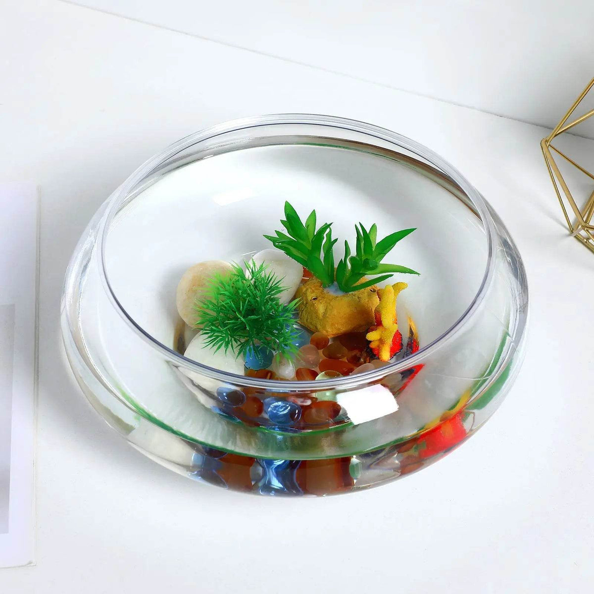 Réservoir de poisson Transparent en plastique, réservoir de poisson rouge Betta multifonction, récipient hydroponique, réservoir de bureau, décors de bureau et de maison - Animaleriex