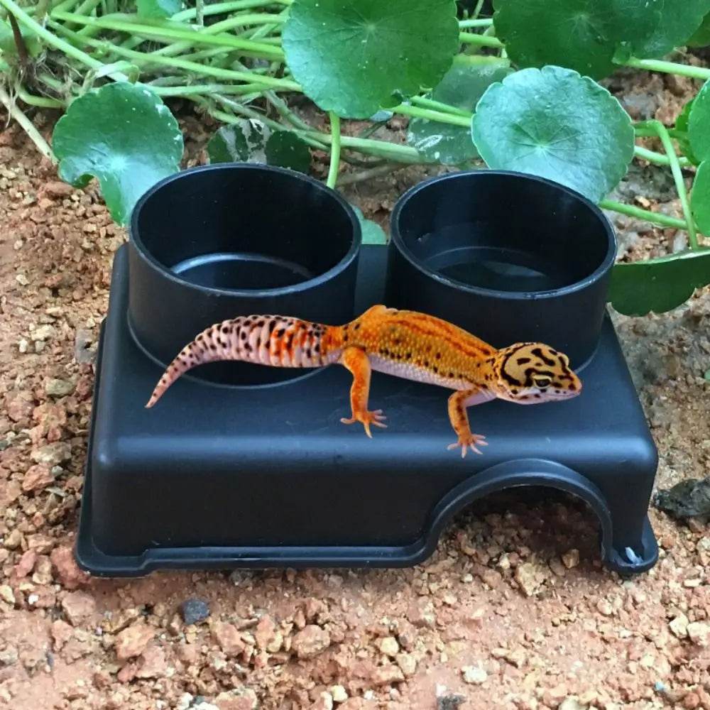 Boîte rectangulaire en plastique pour cacher les reptiles, en plastique noir, lézards, serpent, abri, maison, refuge pour petits animaux, Cage pour reptiles - Animaleriex