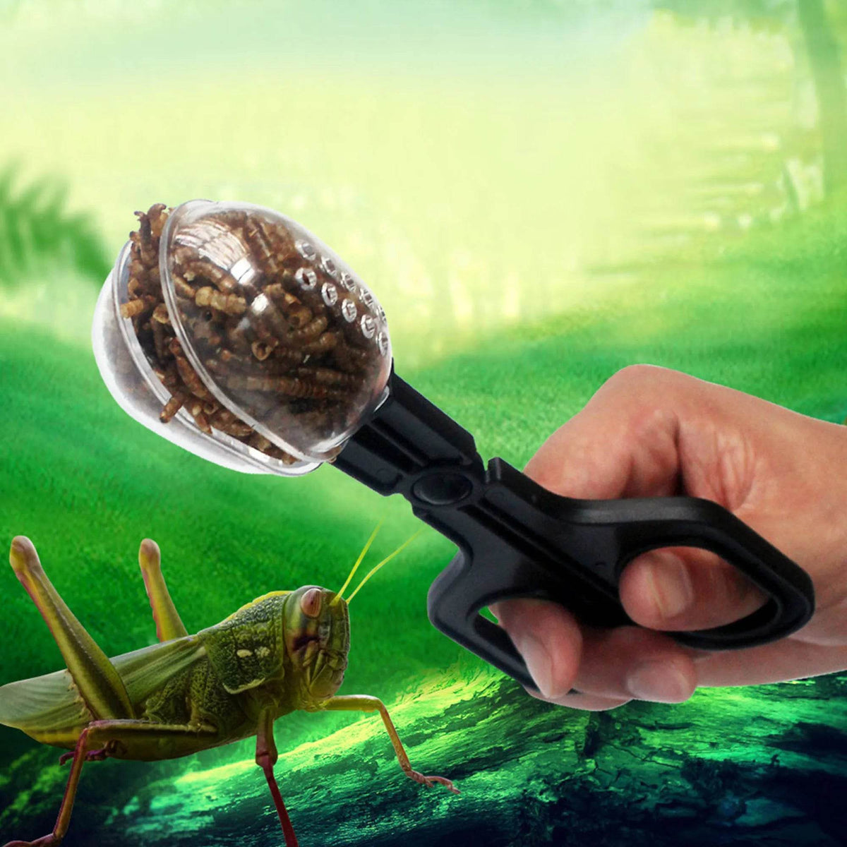 Reptile Terrarium lézards pinces en plastique pince à épiler outil d'alimentation pour animaux de compagnie pince enfants école plante insecte biologie outil d'étude - Animaleriex