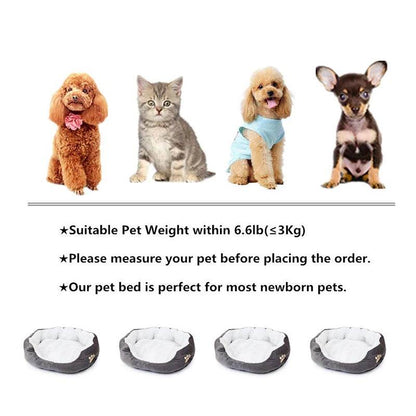 Canapé-lit pour animaux de compagnie, fournit de la chaleur pour petits chiens, matelas pour chat et chien, niche épaisse et lavable en peluche, fournitures pour animaux de compagnie - Animaleriex
