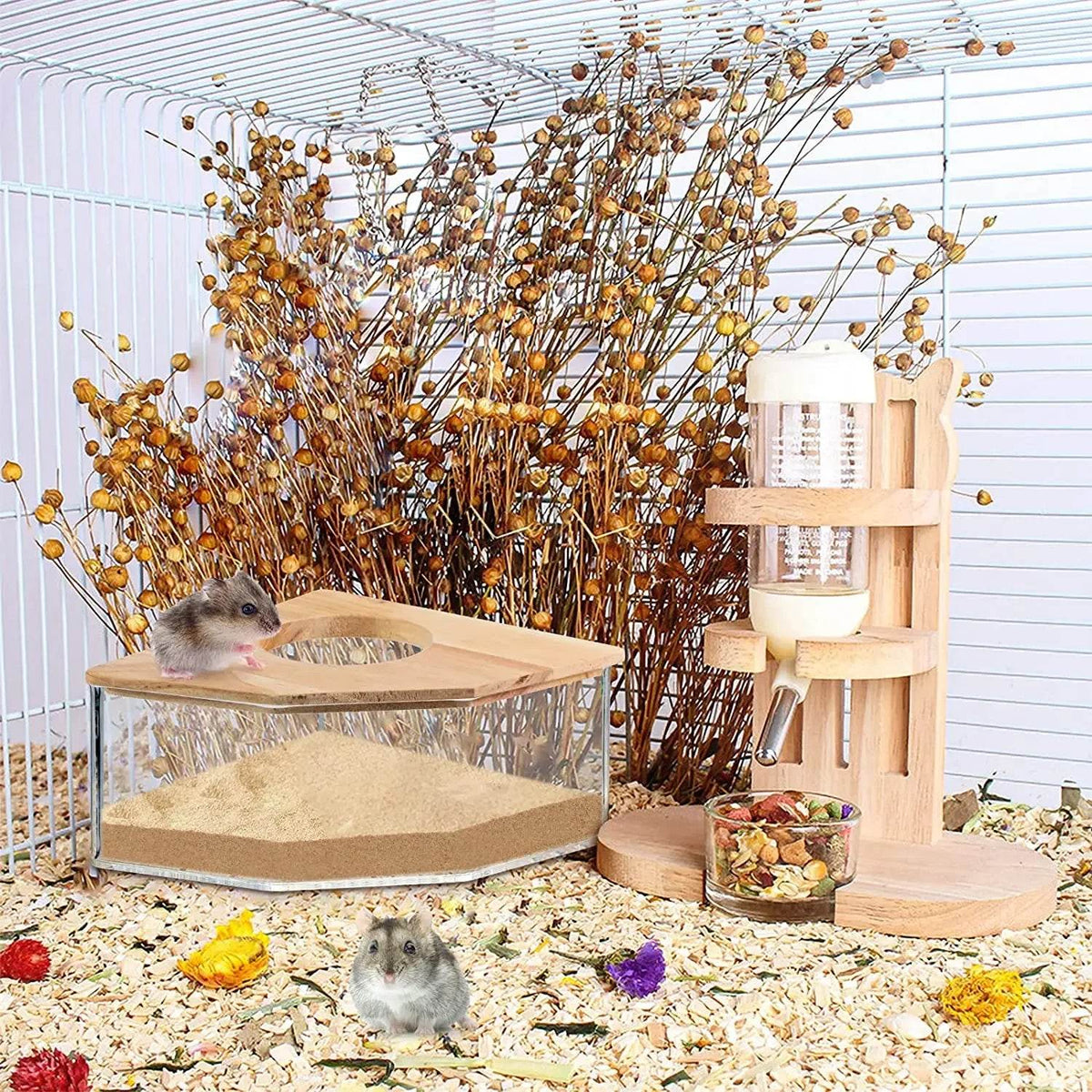 Hamster salle de bain maison bac à sable entièrement Transparent Urine sable bassin ours doré fournitures sable bain conteneur petite salle de bain pour animaux de compagnie - Animaleriex