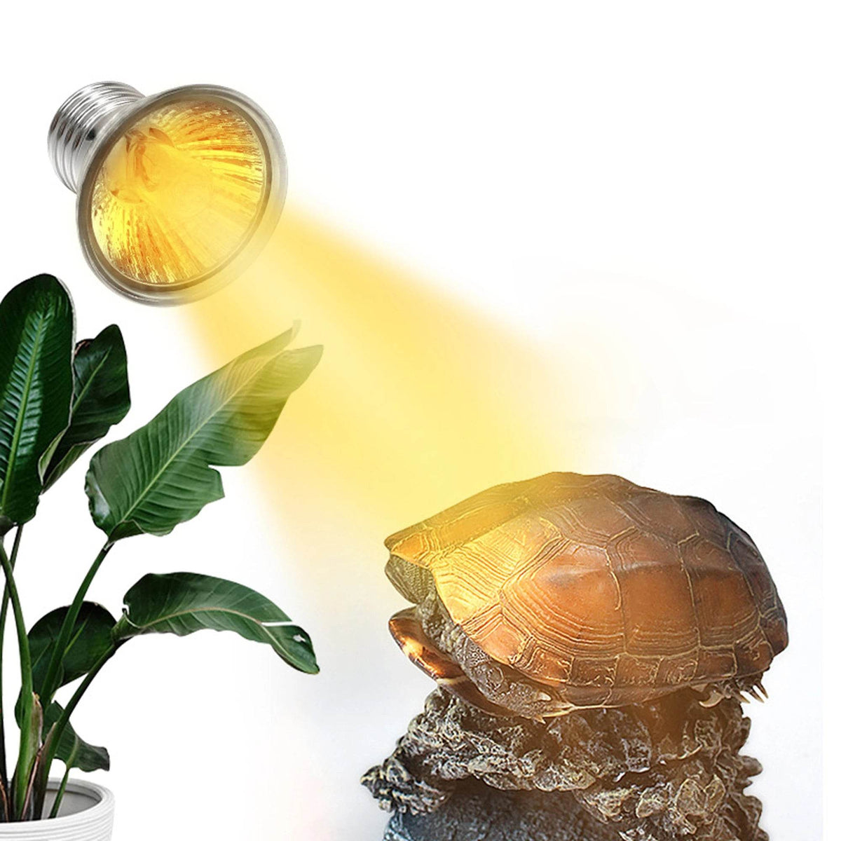 25/50/75W UVA + UVB 3.0 lampe Reptile ampoule tortue se prélasser UV ampoules lampe chauffante amphibiens lézards régulateur de température 1Pc - Animaleriex