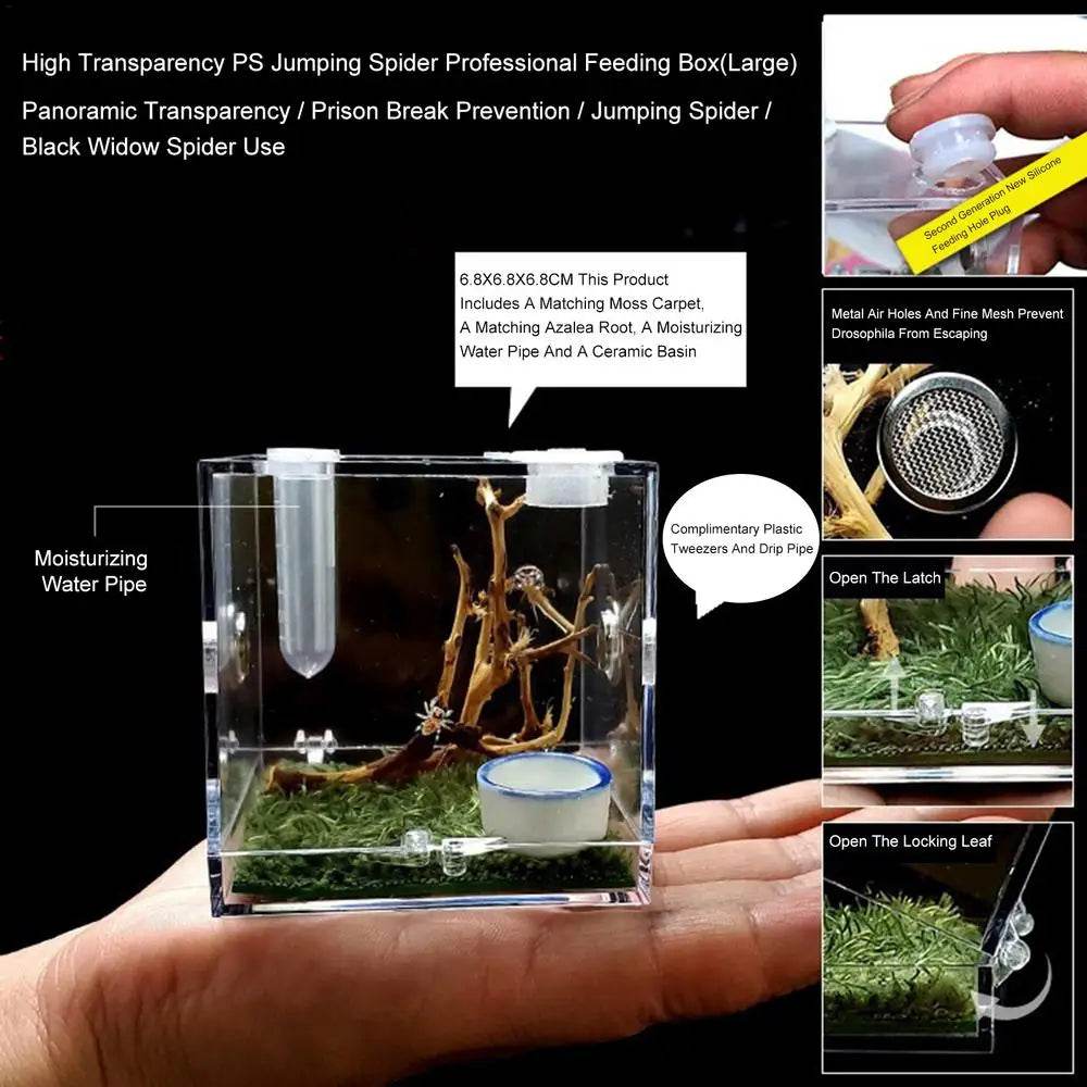 Boîte d'élevage de Reptiles, Cage en acrylique transparent, boîte d'alimentation pour insectes, réservoir de Terrarium anti-fuite pour araignée sautante, 3 tailles - Animaleriex