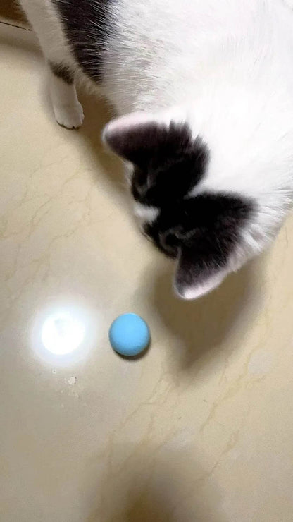 Balle Interactive pour chat, jouets intelligents pour animaux de compagnie, boule magique à roulement automatique d'intérieur, jouet interactif électronique, accessoires de jeu pour chat - Animaleriex