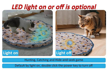 Jouets interactifs pour chat, balle à roulement rapide dans une pochette, jouet pour chaton, cache-cache, activé par le mouvement, pour l'intérieur - Animaleriex