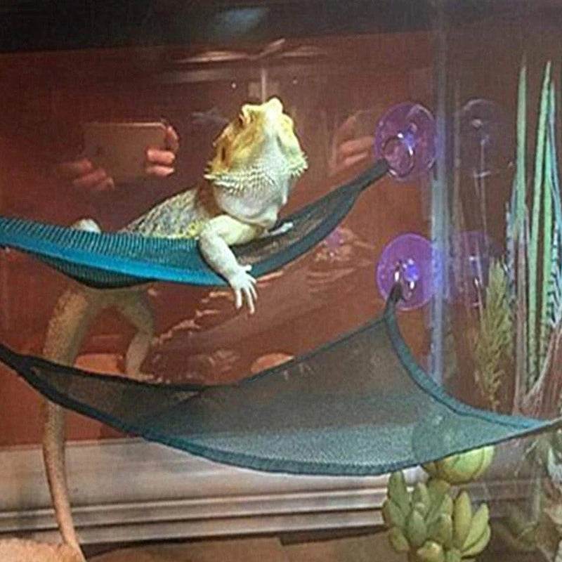 Ensemble d'accessoires d'échelle de chaise longue de hamac de Reptile pour les grands petits dragons barbus Anole Geckos lézards ou serpents accessoire de Reptile - Animaleriex
