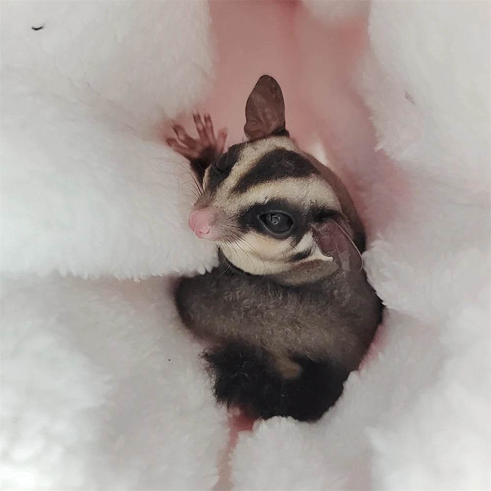 Hamsters en peluche en coton Solf en forme de cœur, Tunnels de jeu, nid chaud d'hiver pour furet, cochons d'inde, écureuils, petits jouets pour animaux de compagnie, accessoires - Animaleriex