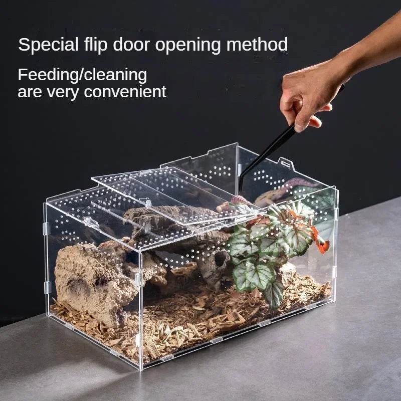 Boîte d'élevage de Terrarium pour reptiles, boîtier en acrylique, boîtier Nano arboricole pour tarentule, araignée, Scorpion, Dragon barbu - Animaleriex