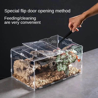 Boîte d'élevage de Terrarium pour reptiles, boîtier en acrylique, boîtier Nano arboricole pour tarentule, araignée, Scorpion, Dragon barbu - Animaleriex