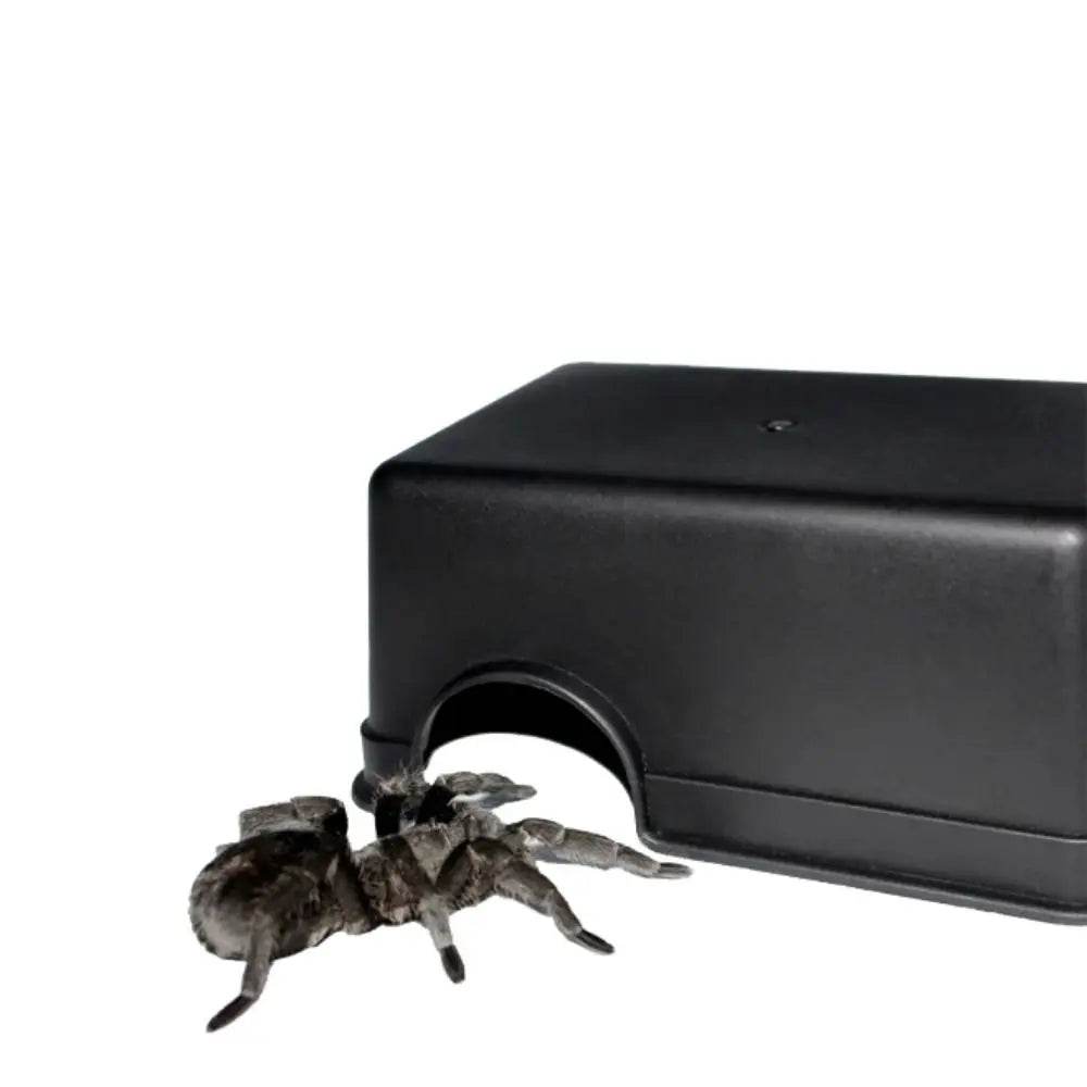 Boîte rectangulaire en plastique pour cacher les reptiles, en plastique noir, lézards, serpent, abri, maison, refuge pour petits animaux, Cage pour reptiles - Animaleriex