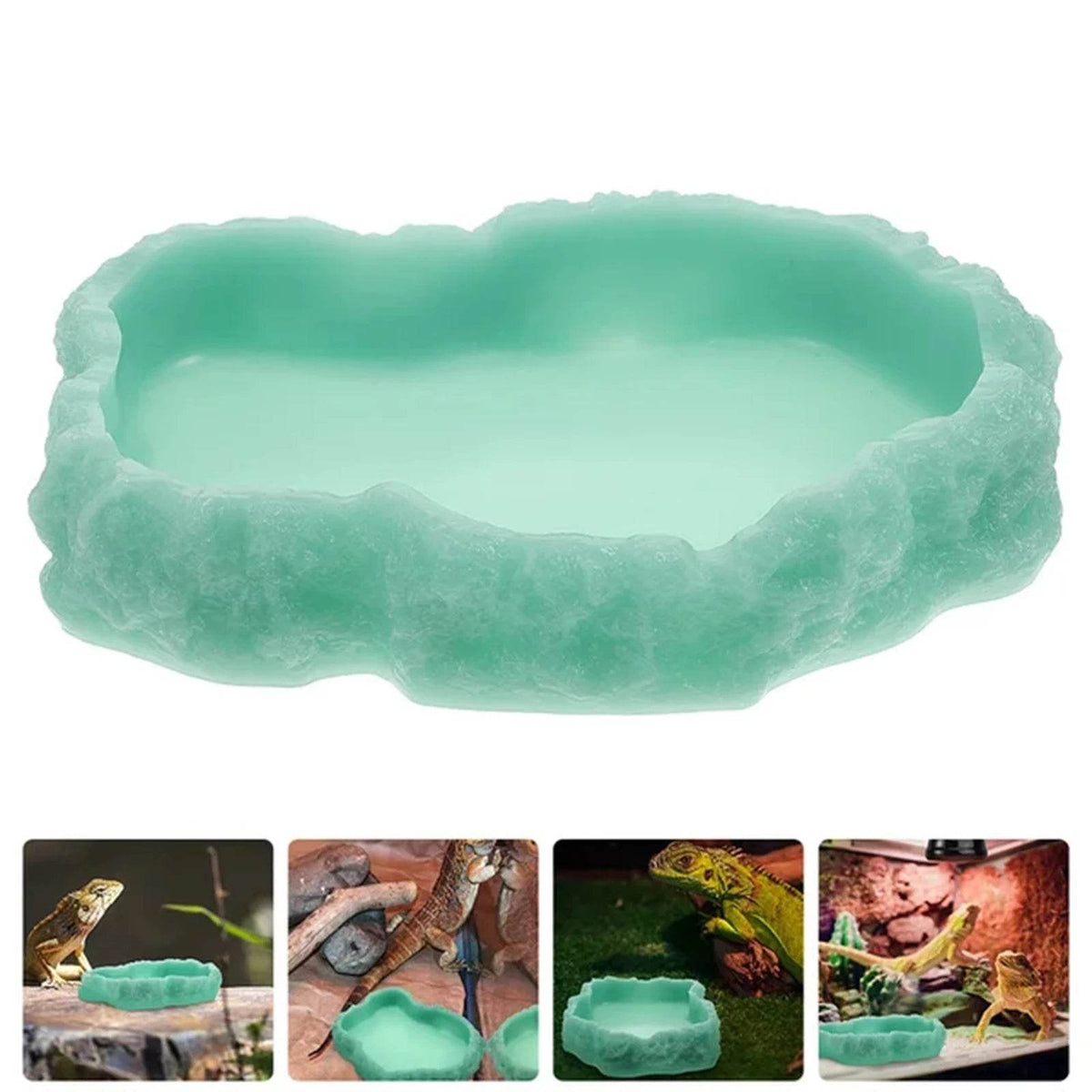 Bols d'eau pour reptiles, plaque de Terrarium, mangeoire pour amphibiens, grenouille, caméléon, tortue, Dragon barbu, tortue - Animaleriex