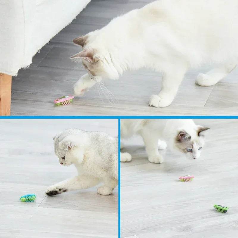 Insectes électriques amusants, jouet herbe-aux-chats, Tunnel automatique, Mini Robot, Vibration, jouets insectes pour chats, à piles, cafard, coccinelle - Animaleriex