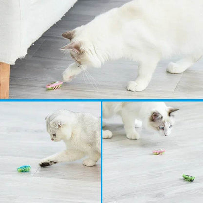 Insectes électriques amusants, jouet herbe-aux-chats, Tunnel automatique, Mini Robot, Vibration, jouets insectes pour chats, à piles, cafard, coccinelle - Animaleriex