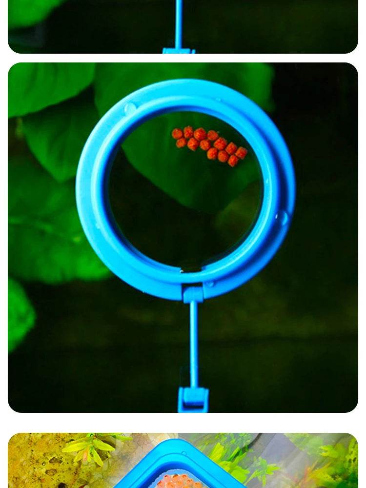 Anneau d'alimentation flottant pour poissons, Station d'aquarium à cercle carré avec ventouse, distributeur de nourriture facile, conception peu encombrante - Animaleriex