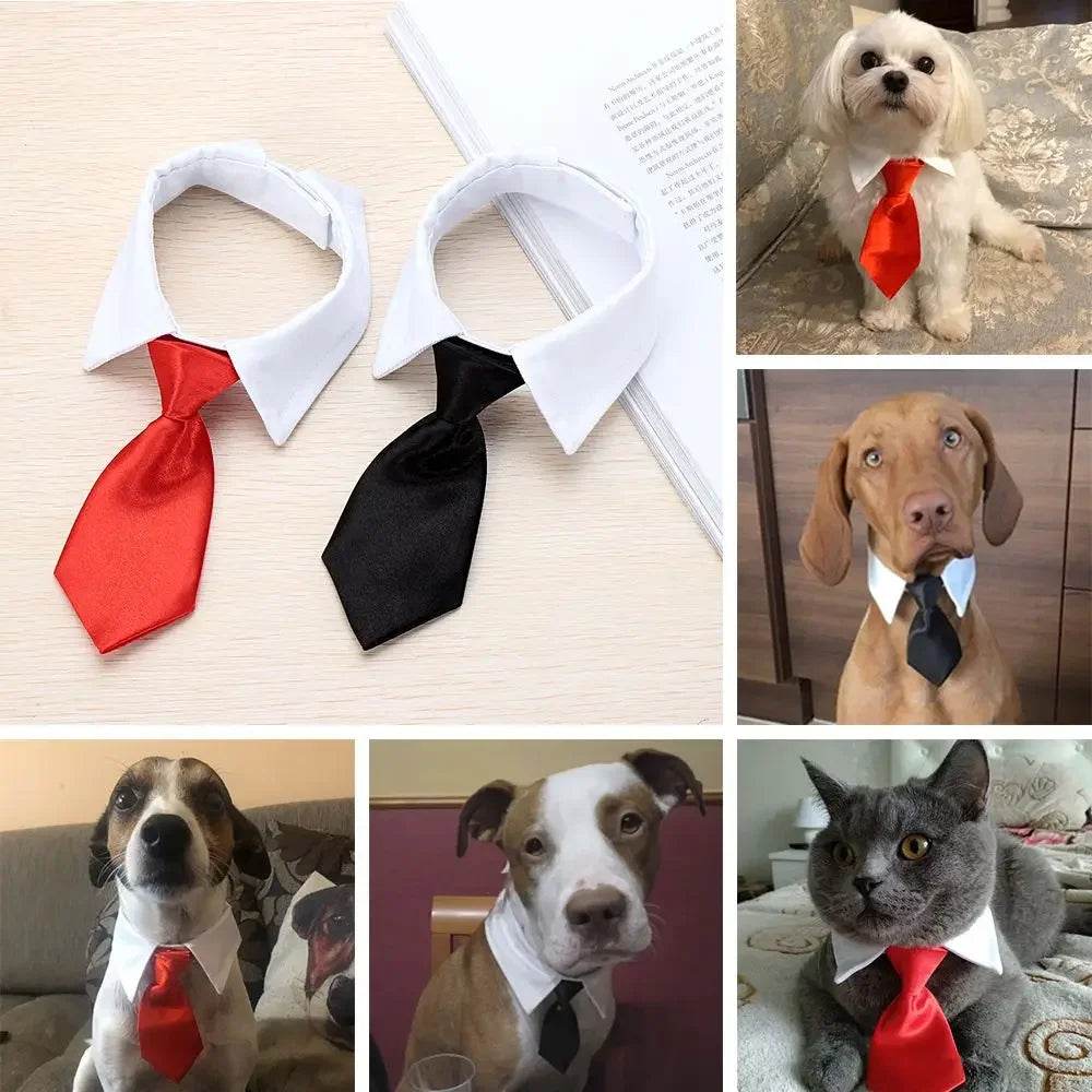 Cravate formelle pour chien et chat, nœud papillon de smoking, collier noir et rouge pour chien et chat, accessoires pour animaux de compagnie, pour mariage, vacances et cadeau de fête - Animaleriex