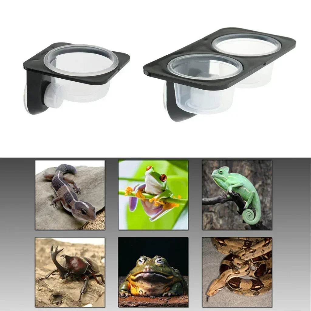 Reptiles et amphibiens lézard Gecko ventouse bols d'alimentation récipient de nourriture avec bol pour l'alimentation de la nourriture et de l'eau des reptiles - Animaleriex