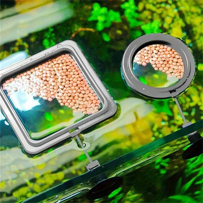 Anneau d'alimentation flottant pour poissons, Station d'aquarium à cercle carré avec ventouse, distributeur de nourriture facile, conception peu encombrante - Animaleriex