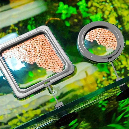 Anneau d'alimentation flottant pour poissons, Station d'aquarium à cercle carré avec ventouse, distributeur de nourriture facile, conception peu encombrante - Animaleriex