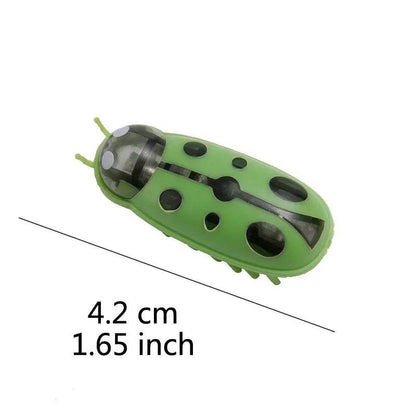 Insectes électriques amusants, jouet herbe-aux-chats, Tunnel automatique, Mini Robot, Vibration, jouets insectes pour chats, à piles, cafard, coccinelle - Animaleriex