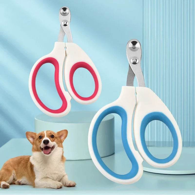 1ps ciseaux à ongles professionnels toilettage pour animaux de compagnie, coupe-ongles pour chat et chien, tondeuse à griffes d'orteil, suppléments de toilettage pour animaux de compagnie, produits - Animaleriex