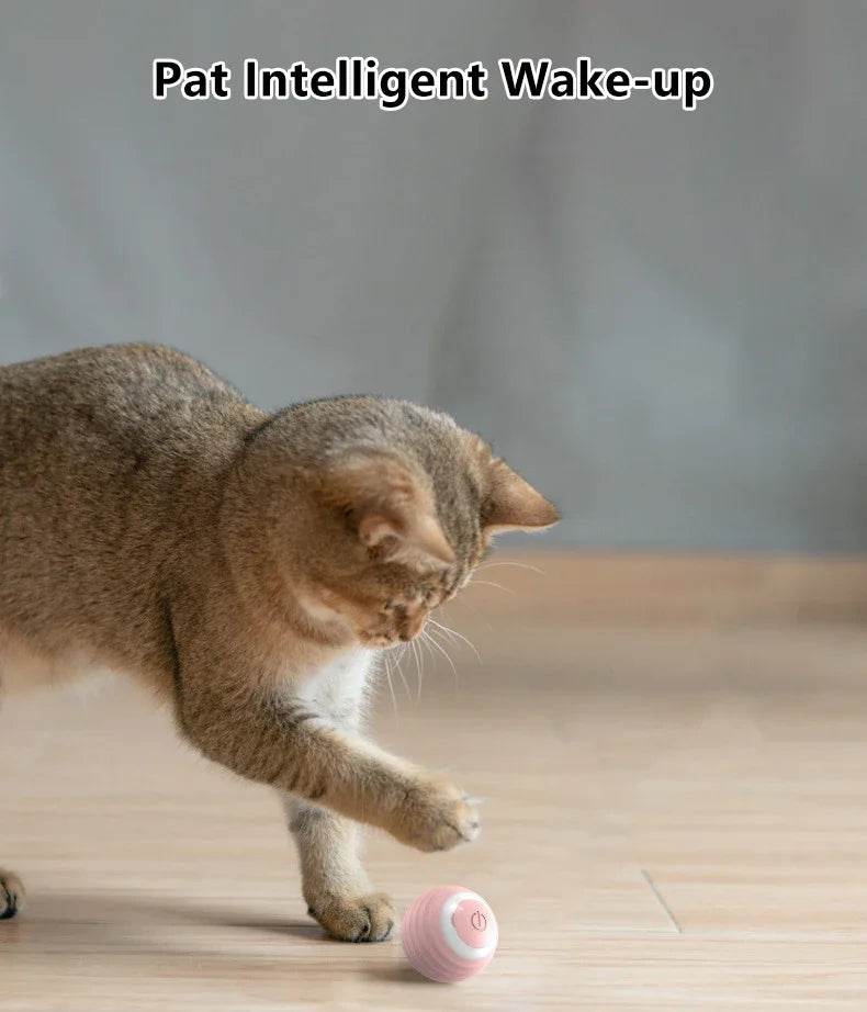 Balle Interactive pour chat, jouets intelligents pour animaux de compagnie, boule magique à roulement automatique d'intérieur, jouet interactif électronique, accessoires de jeu pour chat - Animaleriex