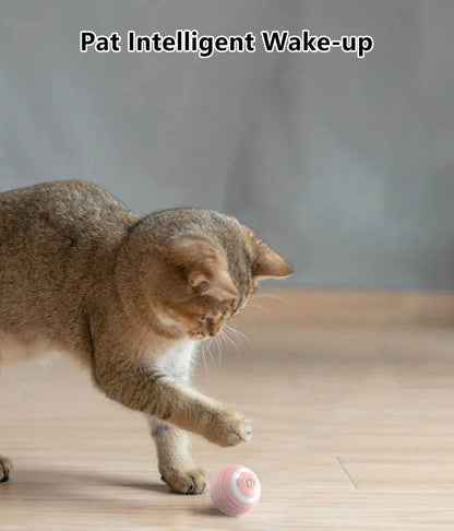 Balle Interactive pour chat, jouets intelligents pour animaux de compagnie, boule magique à roulement automatique d'intérieur, jouet interactif électronique, accessoires de jeu pour chat - Animaleriex