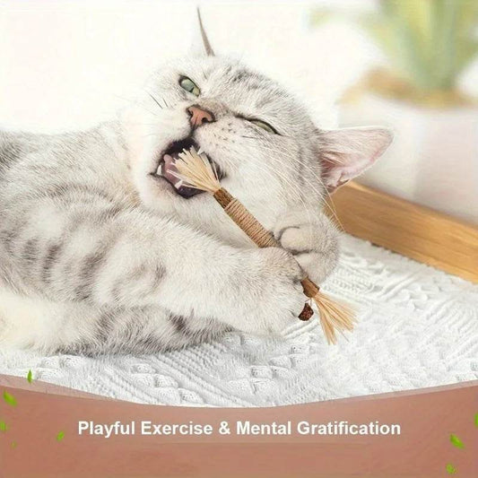 Jouets pour chats, bâton à mâcher en vigne argentée, Polygonum Kitty, herbe de raphia, fournitures pour animaux de compagnie, bâton de nettoyage des dents, morsure d'animal de compagnie, jouet pour chat, corde de chanvre, 1 pièce - Animaleriex