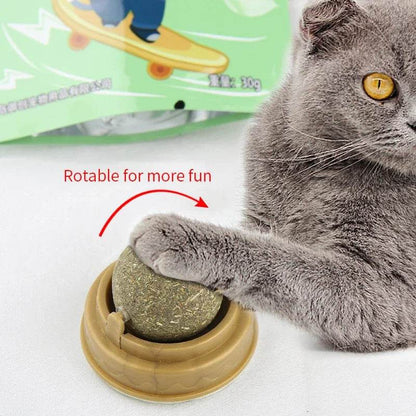 Poste à gratter naturel en herbe à chat, grattoir pour chat, autocollant mural, boule, jouet, produits pour animaux de compagnie, jouets thérapeutiques sains, maison - Animaleriex
