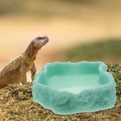 Bols d'eau pour reptiles, plaque de Terrarium, mangeoire pour amphibiens, grenouille, caméléon, tortue, Dragon barbu, tortue - Animaleriex