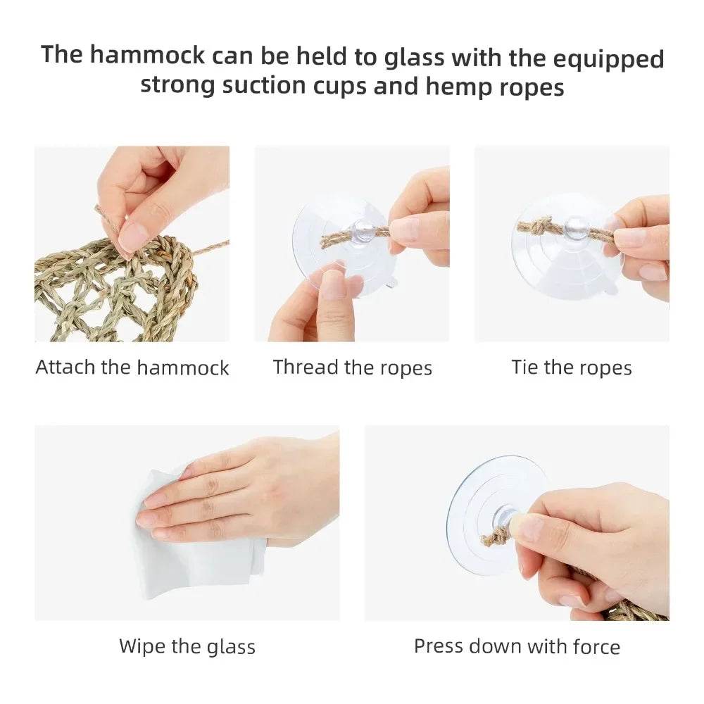 Hamac Dragon barbu pour reptiles, chaise longue pour caméléon, lézards, Gecko, serpents, Lguana, coussin d'herbe, balançoire pour animal de compagnie - Animaleriex