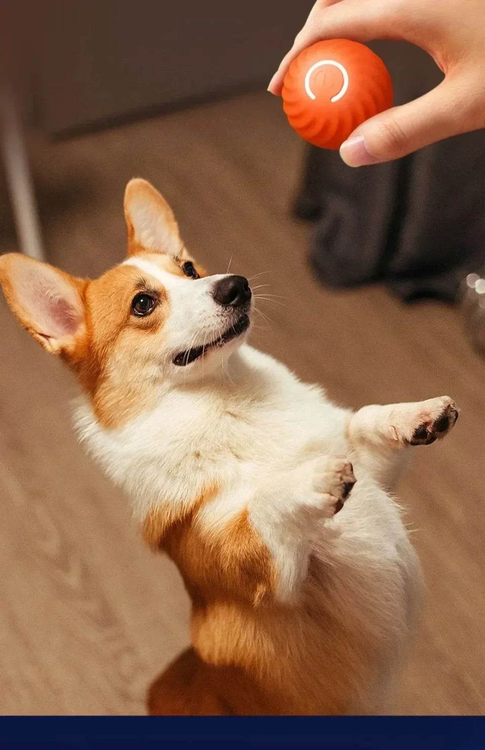Balle électronique Interactive pour animaux de compagnie, jouet interactif pour chien, intelligent, mobile, saut par gravité, produits pour animaux de compagnie, Rechargeable - Animaleriex