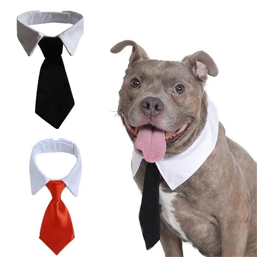 Cravate formelle pour chien et chat, nœud papillon de smoking, collier noir et rouge pour chien et chat, accessoires pour animaux de compagnie, pour mariage, vacances et cadeau de fête - Animaleriex