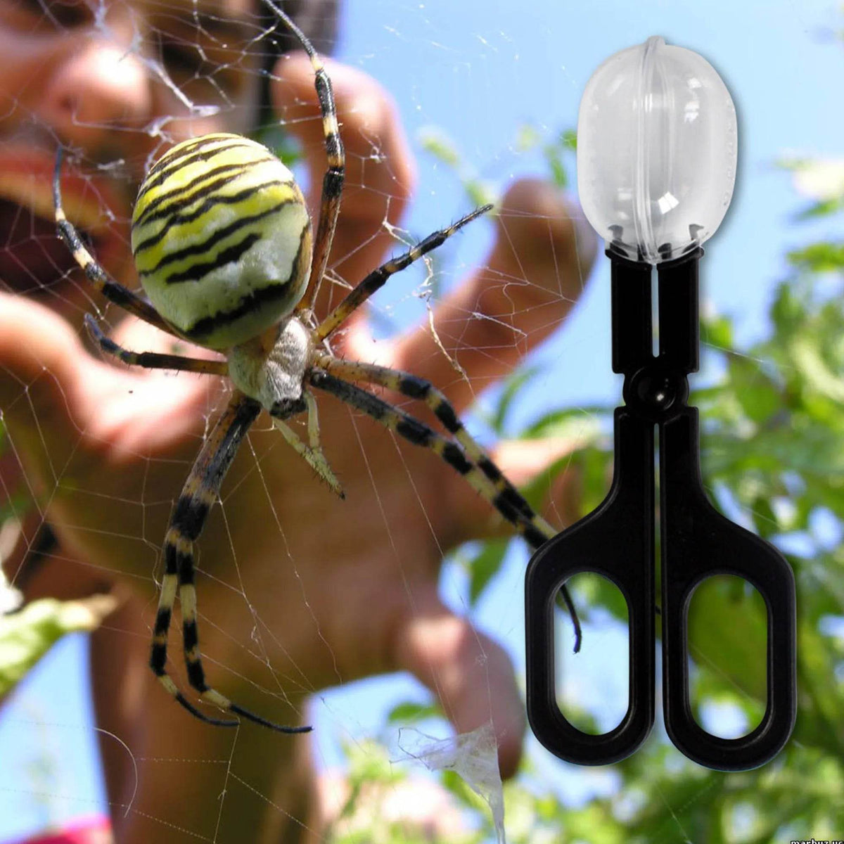 Reptile Terrarium lézards pinces en plastique pince à épiler outil d'alimentation pour animaux de compagnie pince enfants école plante insecte biologie outil d'étude - Animaleriex