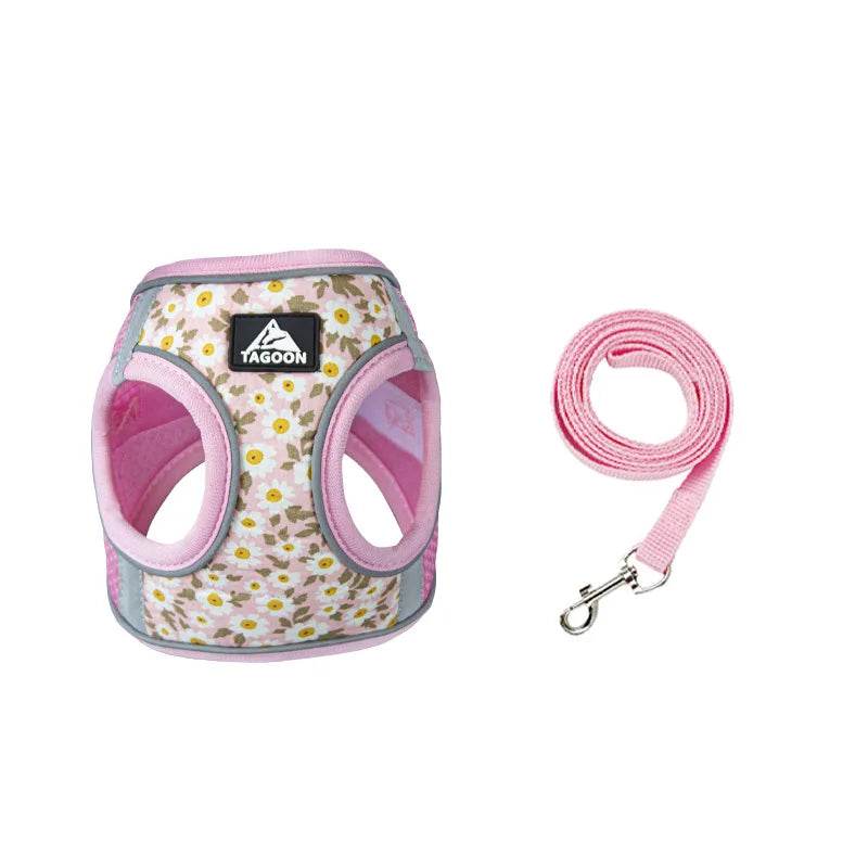 Harnais et laisse en maille de Nylon pour chat, respirant, pour chaton, petit chien, chiot, bouledogue français, Chihuahua, carlin - Animaleriex