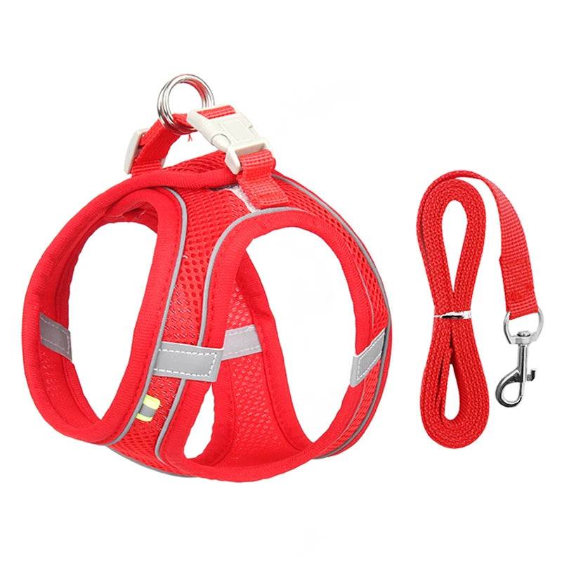 Ensemble de laisse de harnais pour chien pour petits chiens, harnais réglable pour chiot et chat, gilet bouledogue français, Chihuahua, carlin, laisse de marche en plein air - Animaleriex