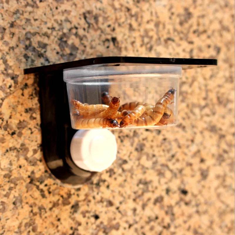 Réservoir d'alimentation en eau pour reptiles, 1 pièce, réservoir d'insectes, d'araignées, de fourmis, de serpent, Gecko, bol d'alimentation en eau, boîte d'alimentation d'élevage, fournitures pour animaux de compagnie - Animaleriex