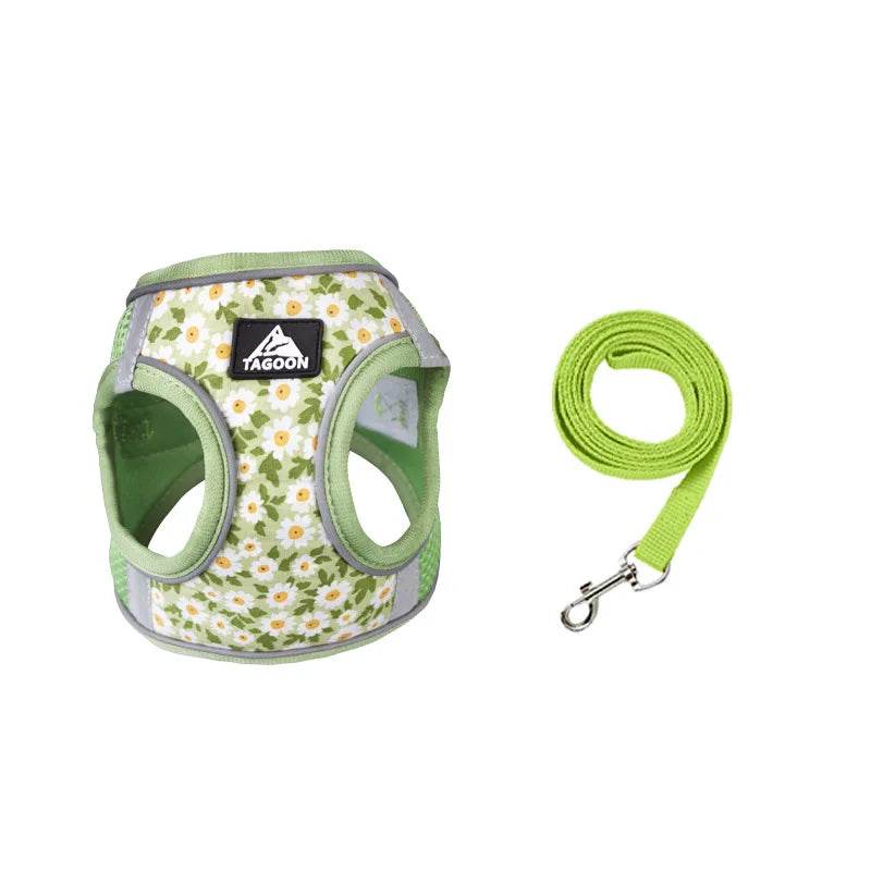 Harnais et laisse en maille de Nylon pour chat, respirant, pour chaton, petit chien, chiot, bouledogue français, Chihuahua, carlin - Animaleriex