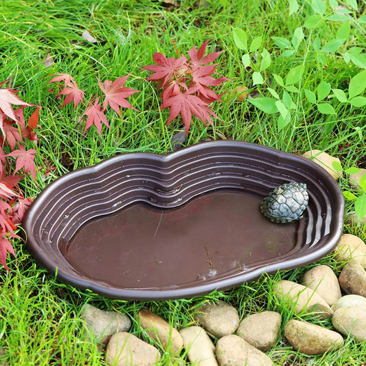 Piscine de baignade pour reptiles, accessoires pour amphibiens, grand bol d'eau avec rampe pour tortue, Hamster, Scorpion, léopard - Animaleriex