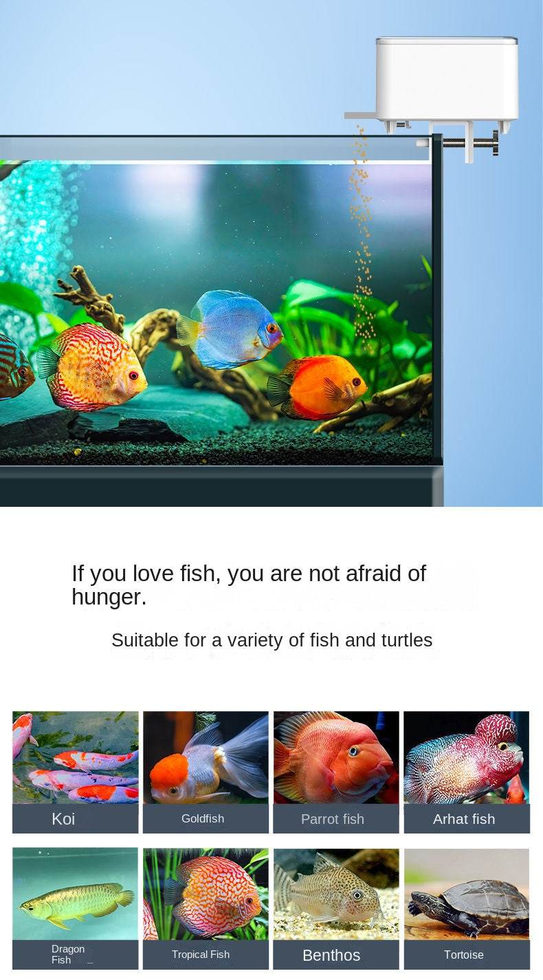 Alimentation automatique pour Aquarium, synchronisation/Wifi, sans fil, application pour téléphone Intelligent, haut-parleur Intelligent, télécommande vocale, alimentation des poissons - Animaleriex