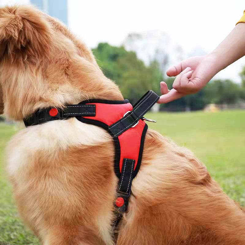 Harnais de selle réfléchissant pour chien, réglable, pour animaux de compagnie, sans traction, entraînement à la marche, pour petits, moyens et grands chiens, sangle de poitrine, produit - Animaleriex