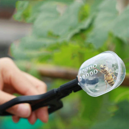 Reptile Terrarium lézards pinces en plastique pince à épiler outil d'alimentation pour animaux de compagnie pince enfants école plante insecte biologie outil d'étude - Animaleriex